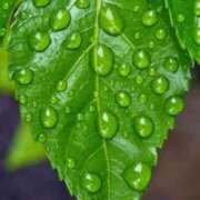 ヒメ日記 2025/06/10 09:05 投稿 あゆみ 待ちナビ