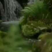 ヒメ日記 2025/07/11 08:05 投稿 あゆみ 待ちナビ