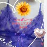 ヒメ日記 2025/10/03 09:25 投稿 あゆみ 待ちナビ