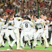 ヒメ日記 2025/10/16 16:55 投稿 あゆみ 待ちナビ