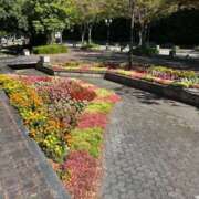 ヒメ日記 2025/10/25 05:15 投稿 あゆみ 待ちナビ