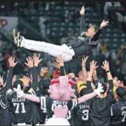 ヒメ日記 2025/10/31 04:23 投稿 あゆみ 待ちナビ