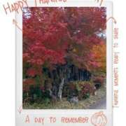 ヒメ日記 2025/11/12 19:17 投稿 あゆみ 待ちナビ