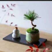 ヒメ日記 2025/12/17 07:31 投稿 あゆみ 待ちナビ