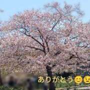 ヒメ日記 2026/04/08 19:27 投稿 あゆみ 待ちナビ