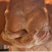 ヒメ日記 2025/06/30 09:07 投稿 きら 花夫人