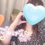 ヒメ日記 2025/07/16 14:20 投稿 にいな 電車ごっこ