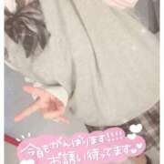 ヒメ日記 2025/11/15 08:50 投稿 にいな 電車ごっこ