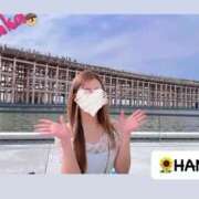 ヒメ日記 2025/05/15 12:24 投稿 はな 東京妻