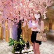 ヒメ日記 2025/08/06 12:38 投稿 はな 東京妻