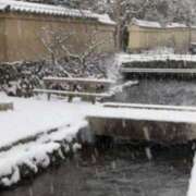 ヒメ日記 2024/12/22 22:50 投稿 せな タレント倶楽部Around40