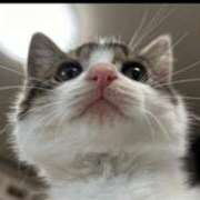 ヒメ日記 2024/12/31 04:42 投稿 せな タレント倶楽部Around40