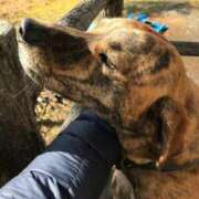 ヒメ日記 2025/06/26 23:46 投稿 せな タレント倶楽部Around40