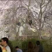 せな 退院 タレント倶楽部Around40