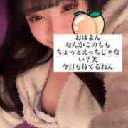 ヒメ日記 2024/12/29 08:31 投稿 もも 新感覚恋活ソープもしも彼女が○○だったら・・・福岡中州本店