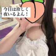 ヒメ日記 2025/03/26 19:21 投稿 もも 新感覚恋活ソープもしも彼女が○○だったら・・・福岡中州本店