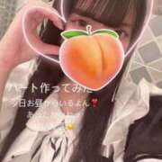 ヒメ日記 2025/04/15 15:00 投稿 もも 新感覚恋活ソープもしも彼女が○○だったら・・・福岡中州本店