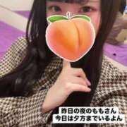 ヒメ日記 2025/04/20 10:35 投稿 もも 新感覚恋活ソープもしも彼女が○○だったら・・・福岡中州本店