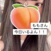 ヒメ日記 2025/04/24 10:51 投稿 もも 新感覚恋活ソープもしも彼女が○○だったら・・・福岡中州本店