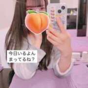 ヒメ日記 2025/04/24 12:22 投稿 もも 新感覚恋活ソープもしも彼女が○○だったら・・・福岡中州本店