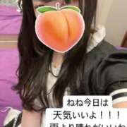 ヒメ日記 2025/05/10 09:58 投稿 もも 新感覚恋活ソープもしも彼女が○○だったら・・・福岡中州本店