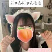 ヒメ日記 2025/06/06 21:02 投稿 もも 新感覚恋活ソープもしも彼女が○○だったら・・・福岡中州本店