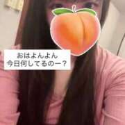 ヒメ日記 2025/08/02 09:24 投稿 もも 新感覚恋活ソープもしも彼女が○○だったら・・・福岡中州本店