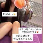 ヒメ日記 2025/08/12 07:41 投稿 もも 新感覚恋活ソープもしも彼女が○○だったら・・・福岡中州本店