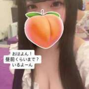 ヒメ日記 2025/08/15 09:12 投稿 もも 新感覚恋活ソープもしも彼女が○○だったら・・・福岡中州本店