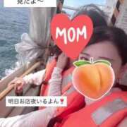 ヒメ日記 2025/08/25 14:21 投稿 もも 新感覚恋活ソープもしも彼女が○○だったら・・・福岡中州本店