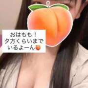 ヒメ日記 2025/09/28 11:51 投稿 もも 新感覚恋活ソープもしも彼女が○○だったら・・・福岡中州本店