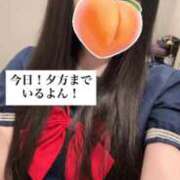 ヒメ日記 2025/10/05 11:21 投稿 もも 新感覚恋活ソープもしも彼女が○○だったら・・・福岡中州本店