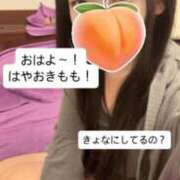 ヒメ日記 2025/10/11 08:41 投稿 もも 新感覚恋活ソープもしも彼女が○○だったら・・・福岡中州本店