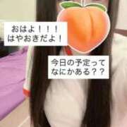 ヒメ日記 2025/10/25 06:41 投稿 もも 新感覚恋活ソープもしも彼女が○○だったら・・・福岡中州本店