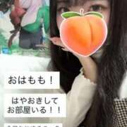 ヒメ日記 2025/12/20 06:31 投稿 もも 新感覚恋活ソープもしも彼女が○○だったら・・・福岡中州本店