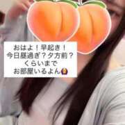 ヒメ日記 2025/12/21 07:41 投稿 もも 新感覚恋活ソープもしも彼女が○○だったら・・・福岡中州本店