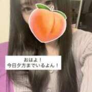 ヒメ日記 2026/01/17 10:41 投稿 もも 新感覚恋活ソープもしも彼女が○○だったら・・・福岡中州本店