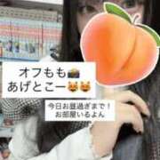 ヒメ日記 2026/01/25 10:06 投稿 もも 新感覚恋活ソープもしも彼女が○○だったら・・・福岡中州本店