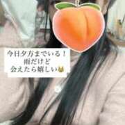 ヒメ日記 2026/02/07 14:24 投稿 もも 新感覚恋活ソープもしも彼女が○○だったら・・・福岡中州本店