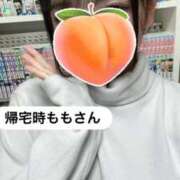 ヒメ日記 2026/02/11 22:31 投稿 もも 新感覚恋活ソープもしも彼女が○○だったら・・・福岡中州本店