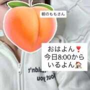 ヒメ日記 2026/02/14 08:21 投稿 もも 新感覚恋活ソープもしも彼女が○○だったら・・・福岡中州本店