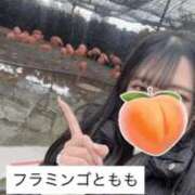 ヒメ日記 2026/02/16 18:21 投稿 もも 新感覚恋活ソープもしも彼女が○○だったら・・・福岡中州本店