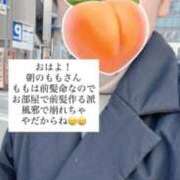 ヒメ日記 2026/02/19 09:16 投稿 もも 新感覚恋活ソープもしも彼女が○○だったら・・・福岡中州本店