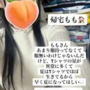 ヒメ日記 2026/02/24 19:00 投稿 もも 新感覚恋活ソープもしも彼女が○○だったら・・・福岡中州本店