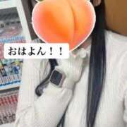 ヒメ日記 2026/02/25 09:41 投稿 もも 新感覚恋活ソープもしも彼女が○○だったら・・・福岡中州本店