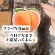 ヒメ日記 2026/02/27 10:51 投稿 もも 新感覚恋活ソープもしも彼女が○○だったら・・・福岡中州本店