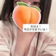 ヒメ日記 2026/03/08 08:37 投稿 もも 新感覚恋活ソープもしも彼女が○○だったら・・・福岡中州本店