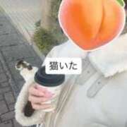 ヒメ日記 2026/03/13 19:01 投稿 もも 新感覚恋活ソープもしも彼女が○○だったら・・・福岡中州本店