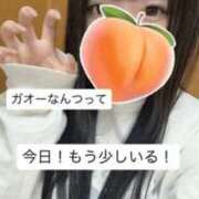 ヒメ日記 2026/03/17 13:21 投稿 もも 新感覚恋活ソープもしも彼女が○○だったら・・・福岡中州本店