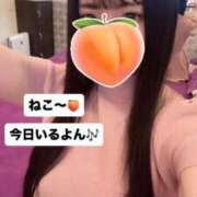 ヒメ日記 2026/03/18 09:16 投稿 もも 新感覚恋活ソープもしも彼女が○○だったら・・・福岡中州本店